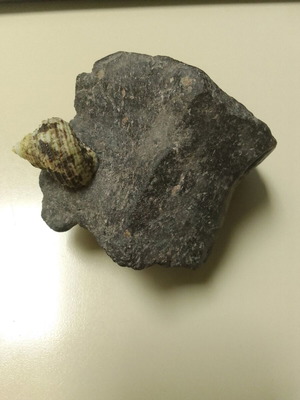 Natural volcanic raw stone from Santorini new