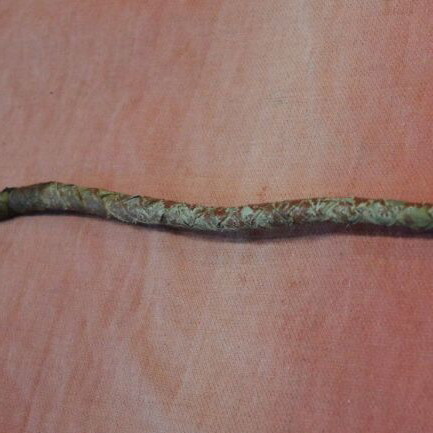 Leather officer whip from 1940s used, worn