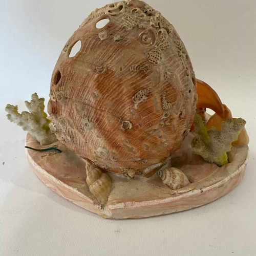 Mid Century table decoration with shells used from 1950