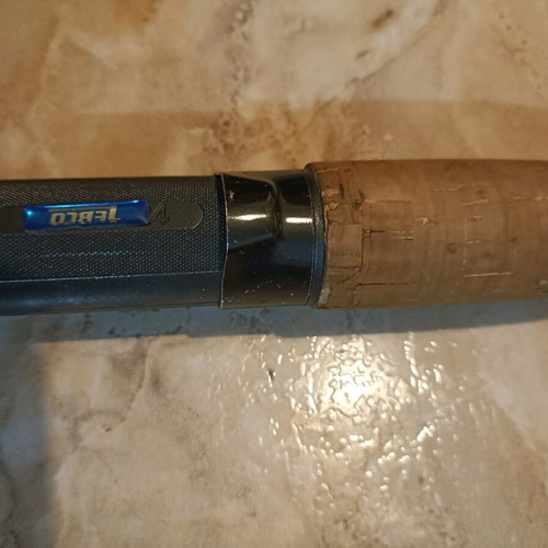 Zebco Praktica DX-60 Fishing Rod, 40-60