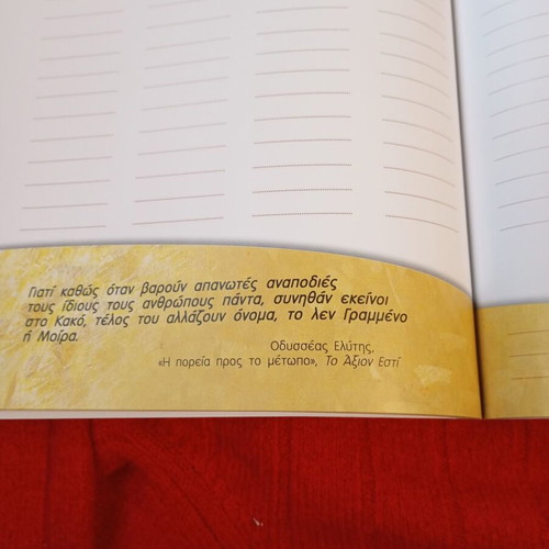 Forte Fortuna 2007 Good Luck Diary like new