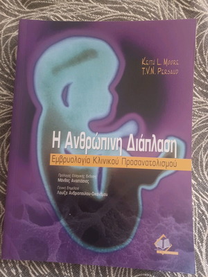 The Human Embryology Book like new, clinical orientation