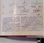  Παθολογία Robbins 4a Edizione, Ιταλικά