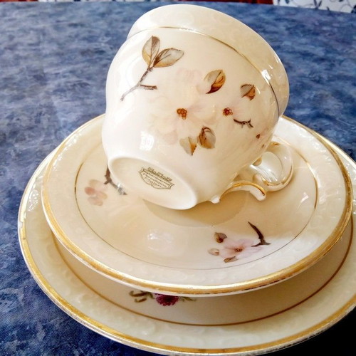 Vintage set of two Danish Kobenhavns Maleri porcelain cups 1930