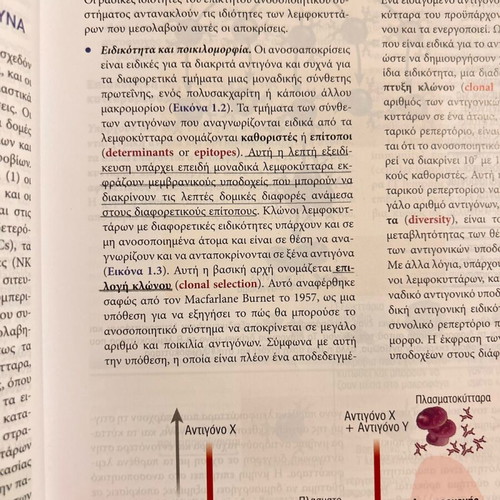 Cellular and Molecular Immunology used
