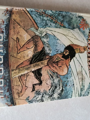 Homer Odyssey used book before 1979