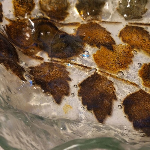 Murano Handcrafted Glass Platter with Earthy Leaf Design like new