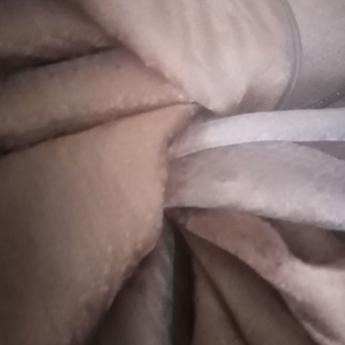 Cotton polyester fabric new, 2.80m height, semi-transparent, chocolate brown