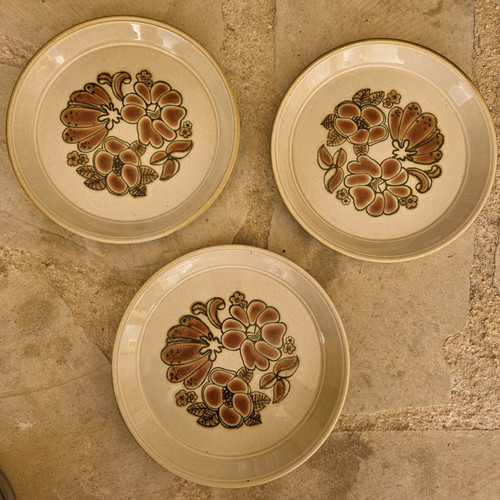 Festival Range Vintage Plates Rafflesia Design Like New
