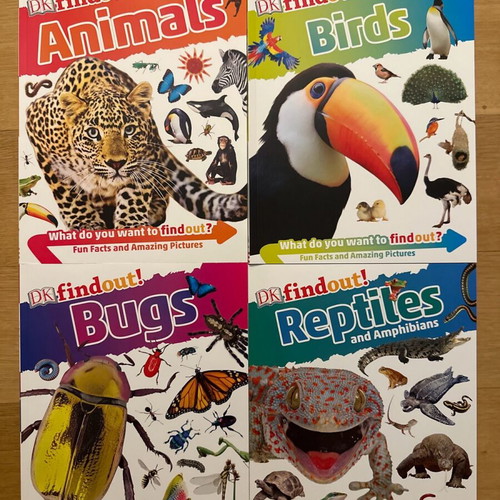 DK Findout set of books about animals, birds, bugs and reptiles brand new