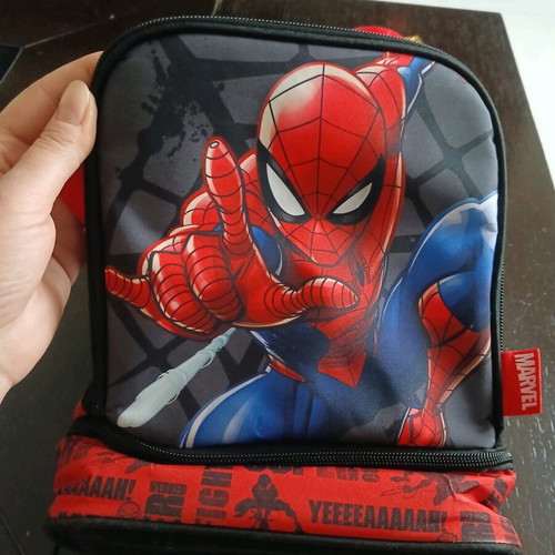 Insulated lunch bag like new