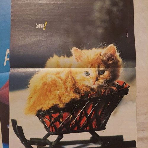 Melrose Place (Andrew Shue) Aqua & Cat poster like new, set of 2