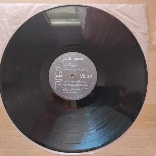 Rock Of Life LP by Rick Springfield like new, Rock
