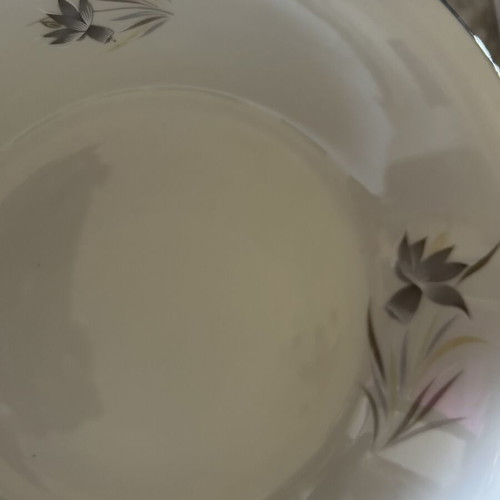 Candia porcelain dinnerware set used, 12 plates and assorted pieces
