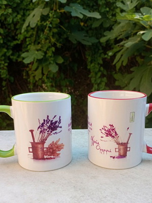 Mugs used, pack of 2 pharmacy promotional