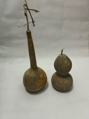 Old gourds excellent for painting