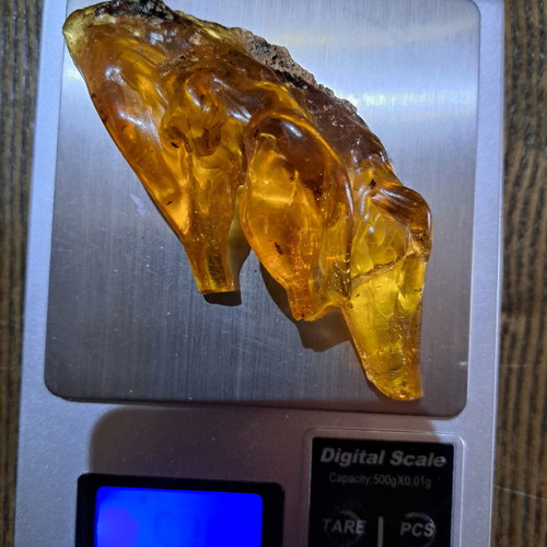 Baltic amber with insects, new, 51.48 g, millions of years old