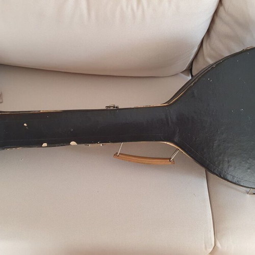 Bouzouki 8-string professional used with case