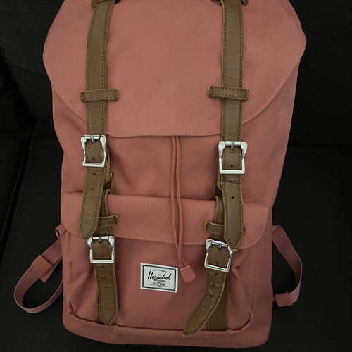 Herschel Little America backpack 21L, ash rose