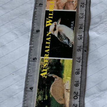 Australian ruler used with wildlife pictures