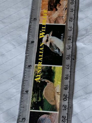 Australian ruler used with wildlife pictures