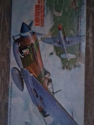 Hasegawa plastic model WW2 airplane