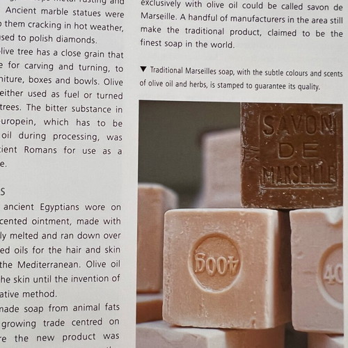 Olive Oil The Essence of the Mediterranean used English book
