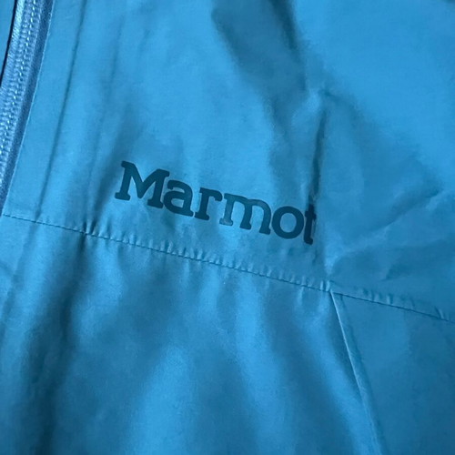 Marmot Minimalist Pro GORE-TEX men's rain jacket, green, size S