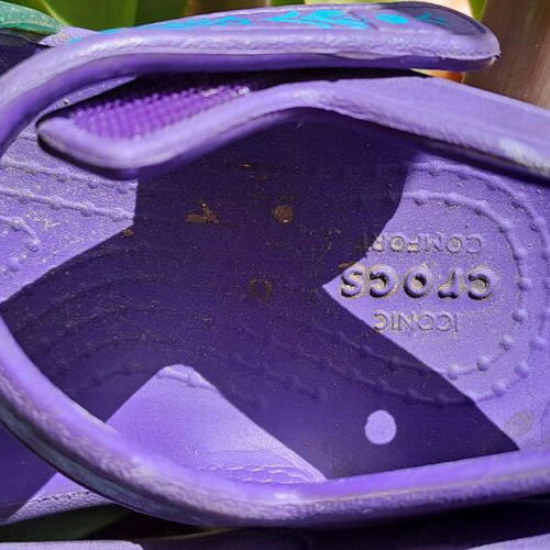 Crocs Disney νούμερο 23/24 σαν καινούργιο