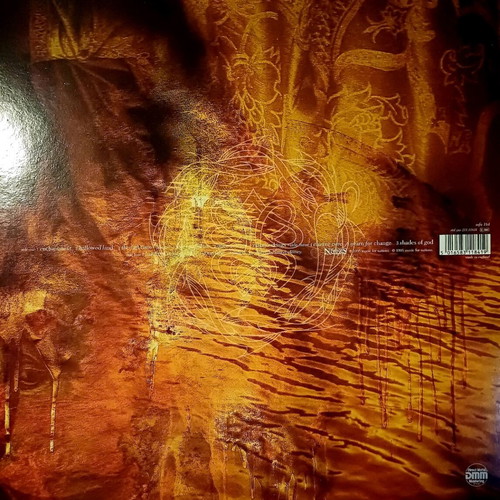 Paradise Lost Draconian Times double LP used, metal