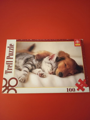 Παζλ μεταχειρισμένο 100 κομματιών