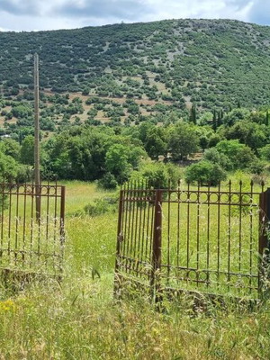 Αγροτεμάχιο 3,5 στρεμμάτων στον Παρνασσό με υπέροχη θέα