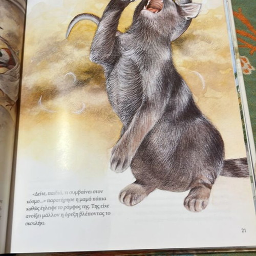 Hans Christian Andersen illustrated fairy tales book