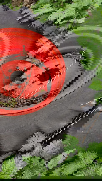 ζάντες με λάστιχα για μηχανήματα σκαφτηκα