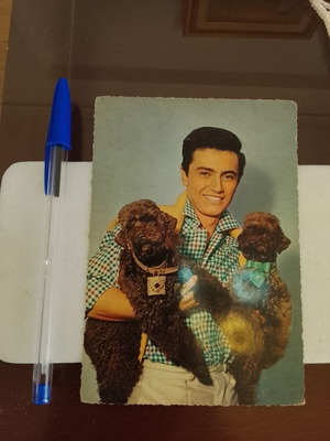 Vintage German postcard of singer and actor Rex Gildo used