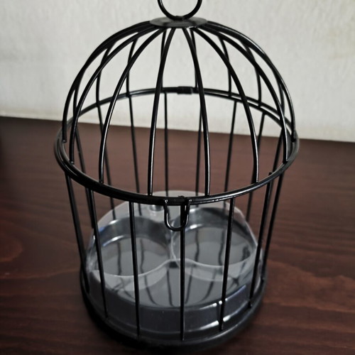 Decorative Candle Cage like new with plastic for 2 candles