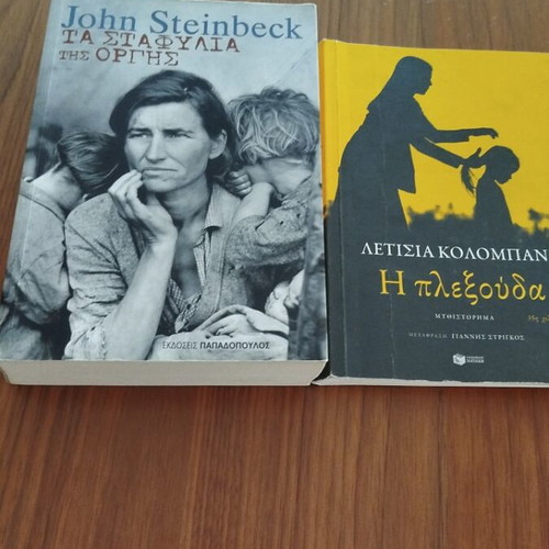 The Grapes of Wrath book like new with notes