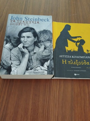 The Grapes of Wrath book like new with notes