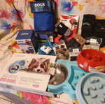 Pet accessories and socks new