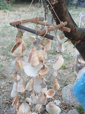 Melodos hanging decoration with real seashells
