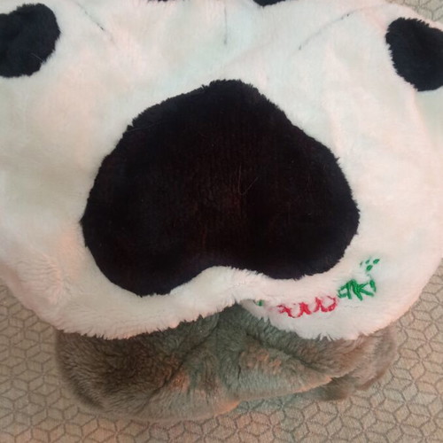 Teddy bear pillow like new