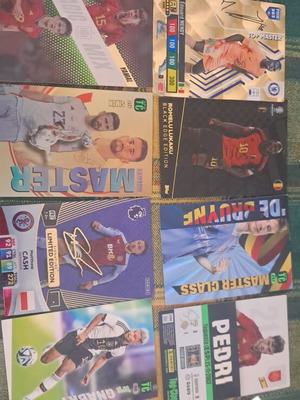 Panini Rare Cards like new, glossy
