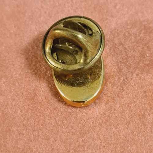 Pin collectible like new from Bologna football club Calcio