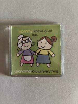Decorative magnet new condition