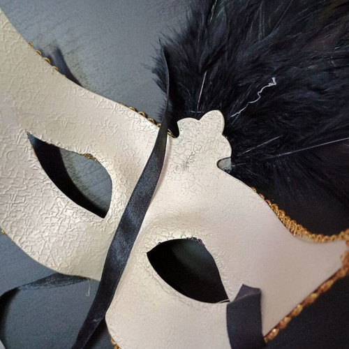Carnival masks set of 2, decorative with feathers