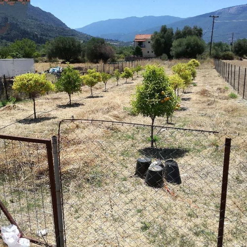 Land 1,107 m² in Kefalonia, non-buildable, ideal for caravan or parking