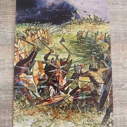 Osprey card postal set of 40 like new