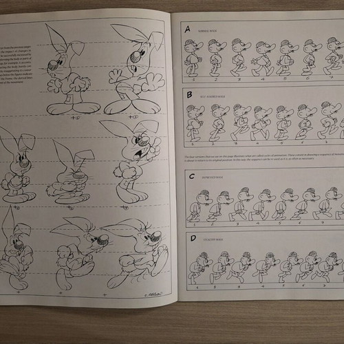 Leonardo Collection Cartoons and Humorous Drawings book used