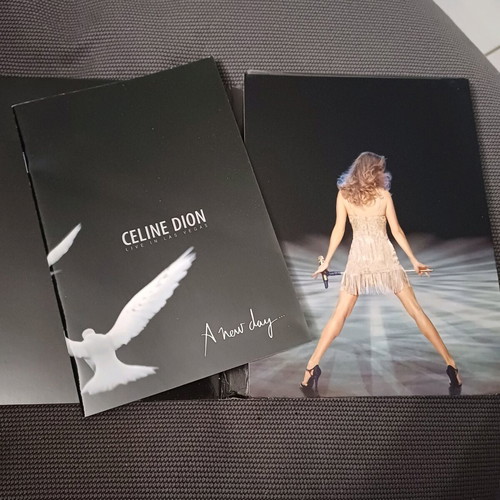 Celine Dion Live in Las Vegas 2 × DVD like new, pop