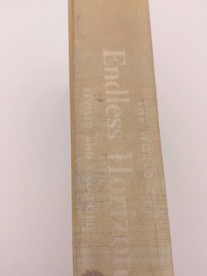 The World of Endless Horizon book used, English